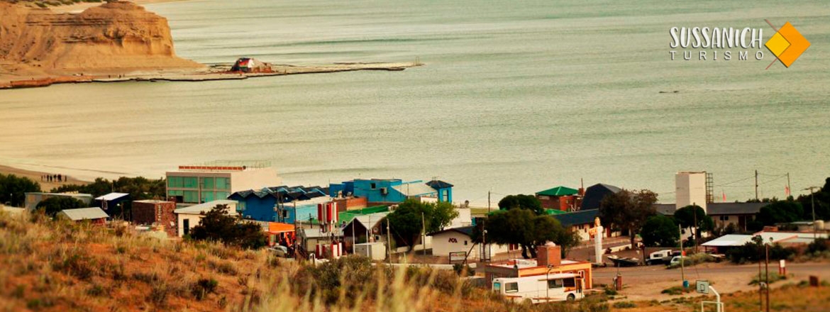 Península Valdés con Box Lunch + City Tour en Puerto Madryn 1
