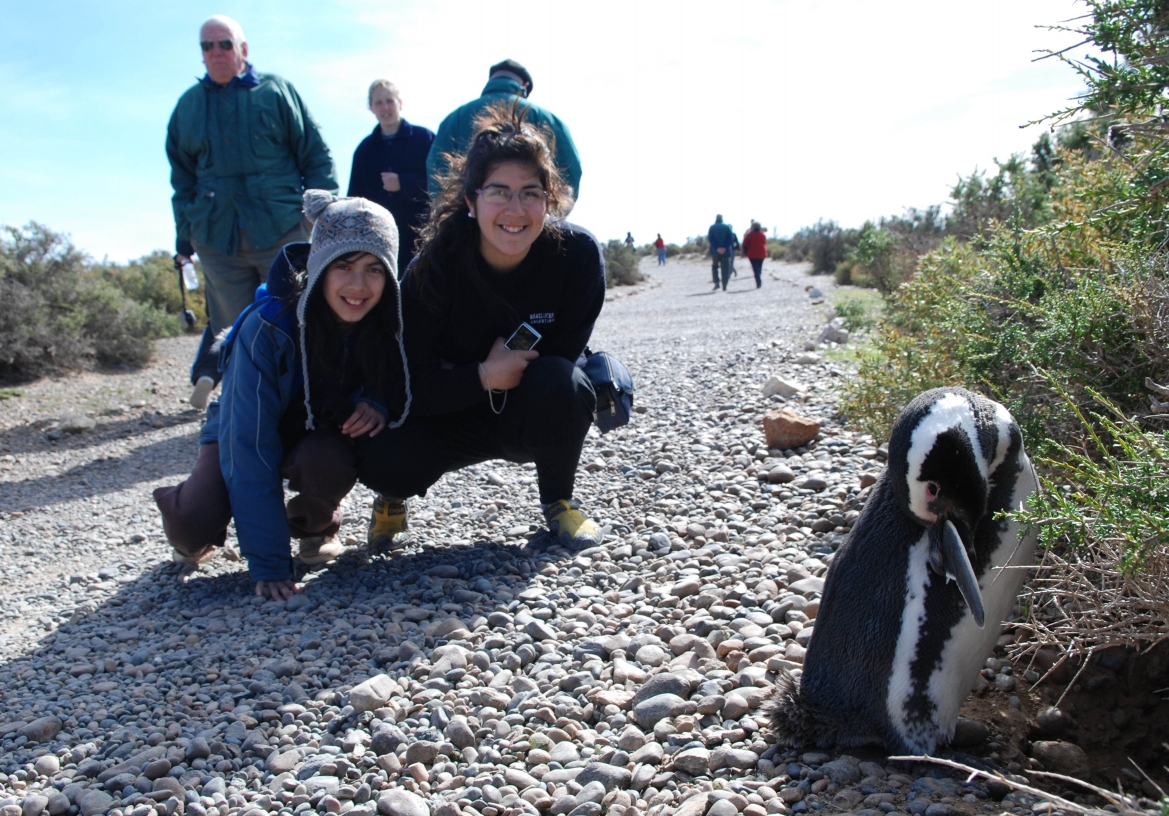 Punta Tombo con Box Lunch + City Tour en Puerto Madryn 2
